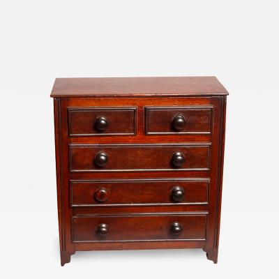 Late Georgian Mahogany Box in the Form of a Chest