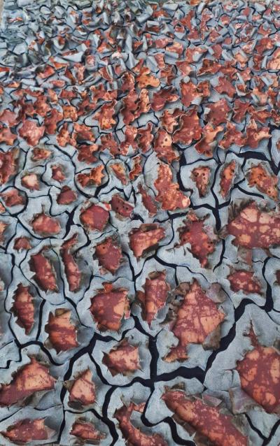 Laura Greaca Cracks by Laura Greaca