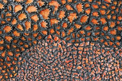 Laura Greaca Interstices