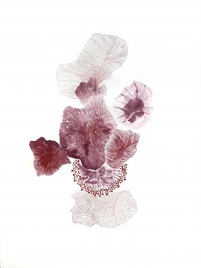 Laura Partin Mushroom Corals