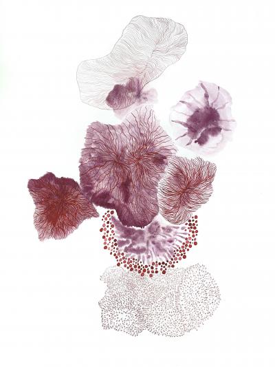 Laura Partin Mushroom Corals