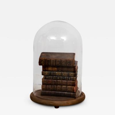 Leather Books in Glass Cloche