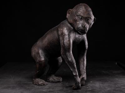 Leather walking Monkey Statue with Glass eyes