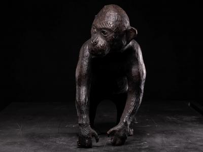Leather walking Monkey Statue with Glass eyes