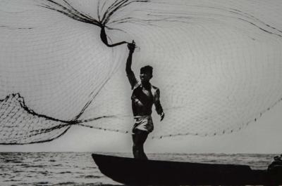 Leo Matiz Leo Matiz Peacock Sea Beach Santa Marta Colombia 