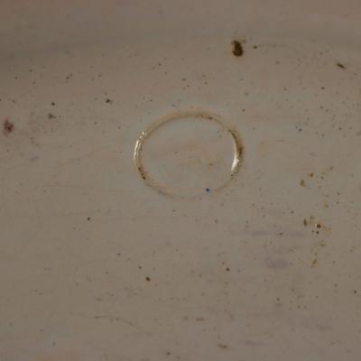 Leon Brard French Palissy Majolica Platter with Fish