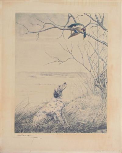 Leon Danchin A French engraving signed Setter et Canard Branche by Leon Danchin