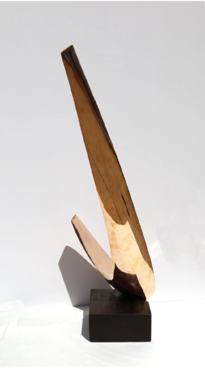 Leonardo M Nierman Untitled Swoosh
