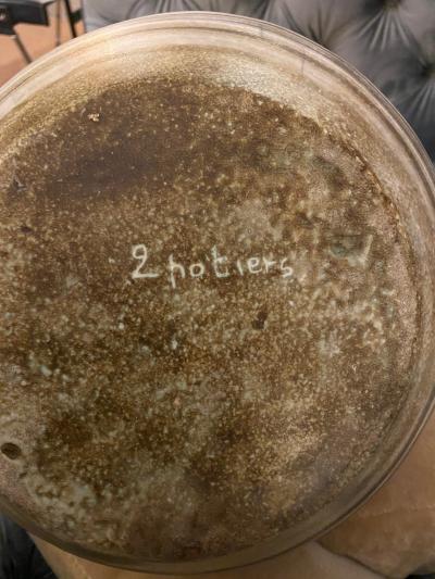 Les 2 Potiers Michelle et Jacques Serre Ceramic Vase by Les 2 Potiers France 1960s