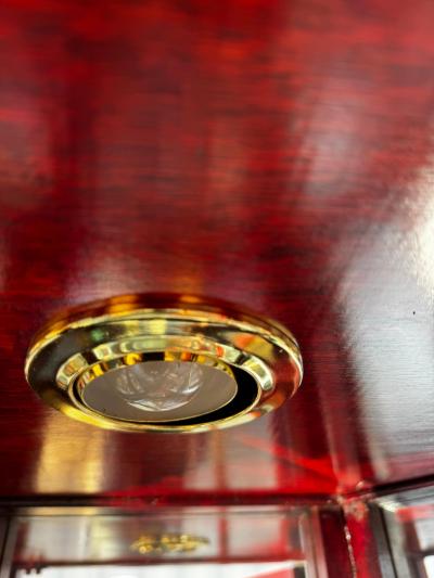 Lighted Chinese Rosewood Hexagon 4 Shelf Curio with 2 Door Cabinet