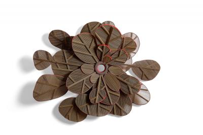 Lilian Daubisse Corolla