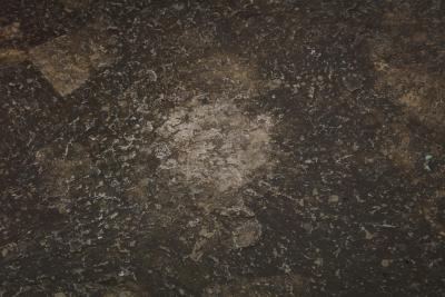 Limestome Chromed Steel Mid Century Coffee Table with Fossils Brazil c 1970