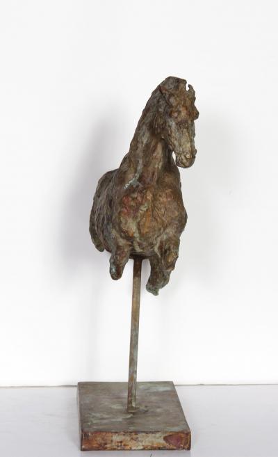 Lina Binkele Constelaci n del caballo menor