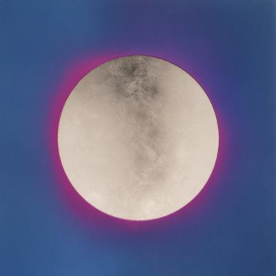 Lita Albuquerque Crystal Violet Coding