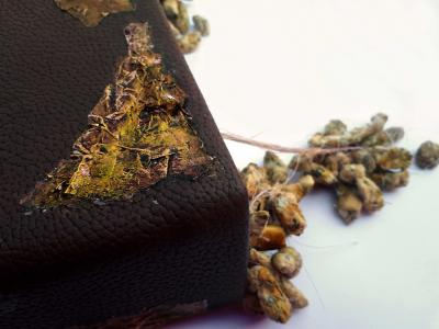 Livia Greaca Fertile Verses Art By Livia Greaca