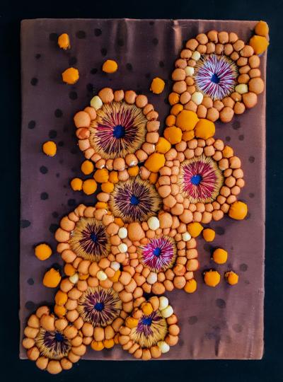 Livia Greaca Micrographia Art by Livia Greaca