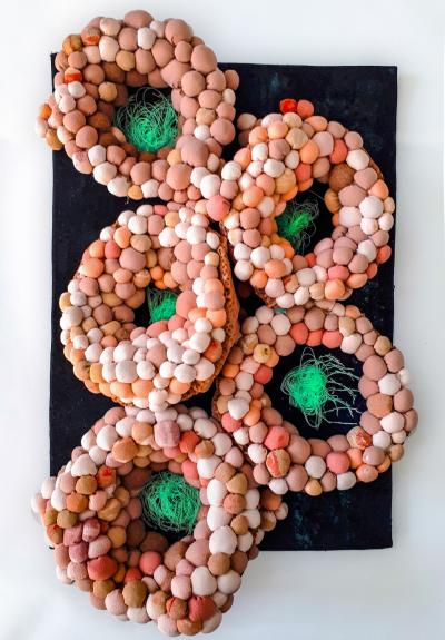 Livia Greaca Micrographia Art by Livia Greaca