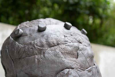 Lois Samuels Lois Samuels Open No 30 