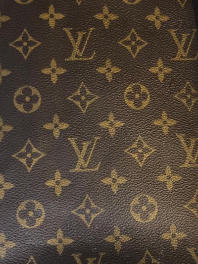 Louis Vuitton Louis Vuitton Dog Carrier 40 Monogram Canvas Luggage Bag