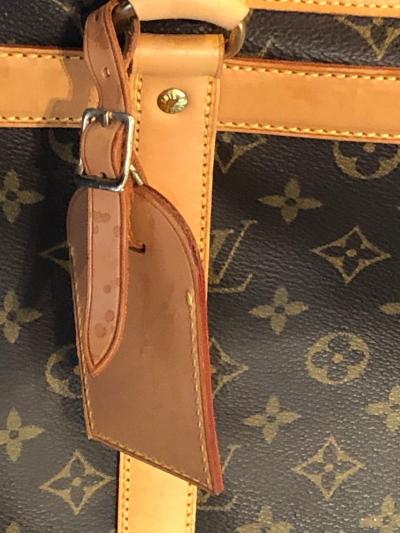 Louis Vuitton Louis Vuitton Dog Carrier 40 Monogram Canvas Luggage Bag