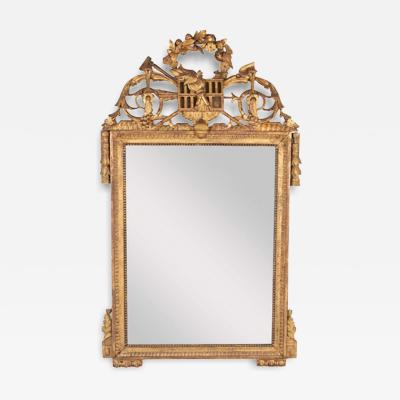 Louis XVI Period Carved Gilded Mirror with Rare Birdcage Motif