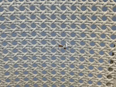 Louis XVI Style Barrel Back Occasional Chair Cream Painted Wood Cane 1960s