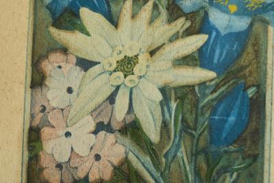 Lovely Framed Edelweiss Lithography Early 20th Century