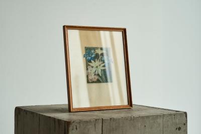 Lovely Framed Edelweiss Lithography Early 20th Century
