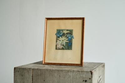 Lovely Framed Edelweiss Lithography Early 20th Century