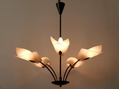 Lovely Mid Century Modern Fived Armed Chandelier or Pendant Lamp Germany 1950s