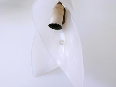 Lovely Mid Century Modern Fived Armed Chandelier or Pendant Lamp Germany 1950s