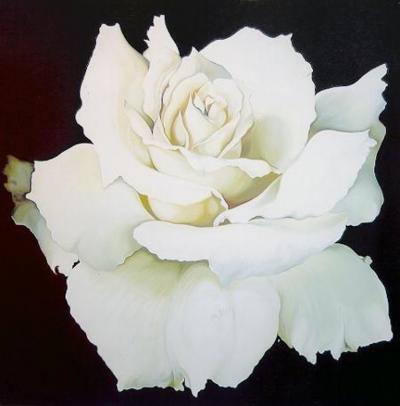 Lowell Blair Nesbitt White Rose