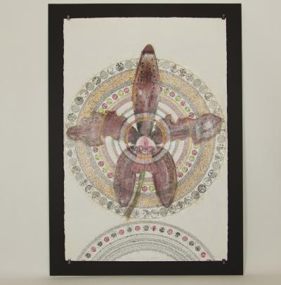 Luciano Di Concetto Orchid by Luciano Di Concetto