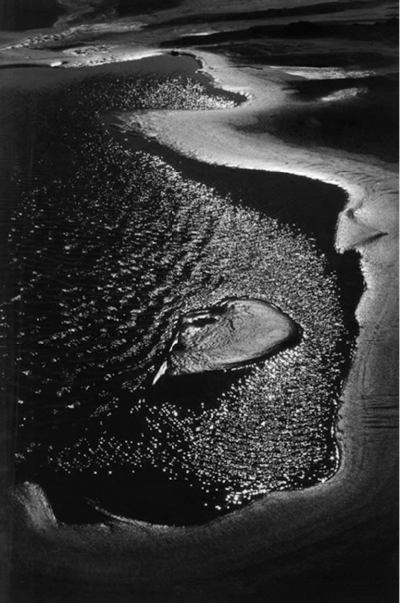 Lucien Clergue Beach Camargue 1977