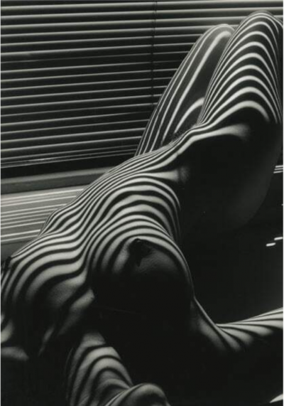 Lucien Clergue Nu Zebre New York 1997