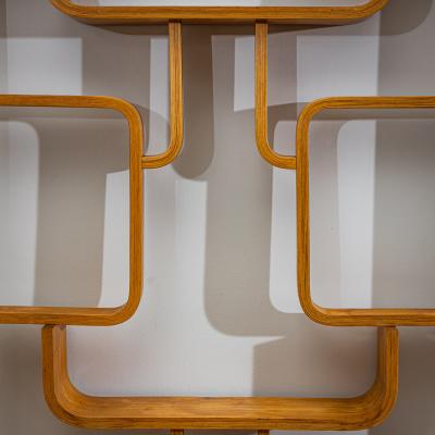 Ludvik Volak Mid Century Room Divider by Ludv k Vol k for D evopodnik Hole ov Czech Republic