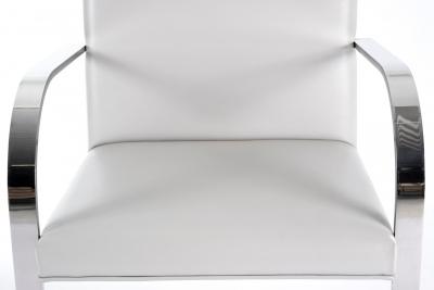 Ludwig Mies Van Der Rohe Set of 2 Ludwig Mies van der Rohe Brno Chairs for Knoll 