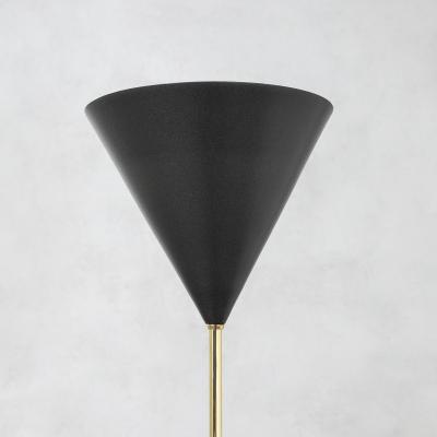 Luigi Caccia Dominioni Luigi Caccia Dominioni Floor Lamp model LTE5 Imbuto for Azucena 50s