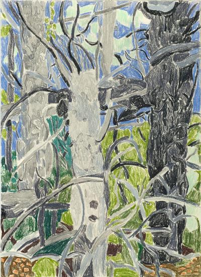 Lynne Drexler Older Trees