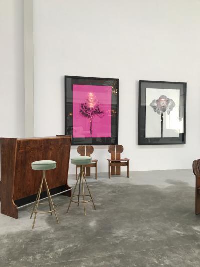 M NICA S NCHEZ ROBLES Contemporary Black and White Flowers Photography by M nica S nchez Robles