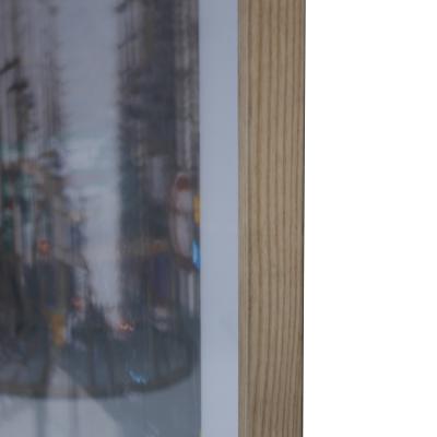 M NICA S NCHEZ ROBLES M nica S nchez Robles