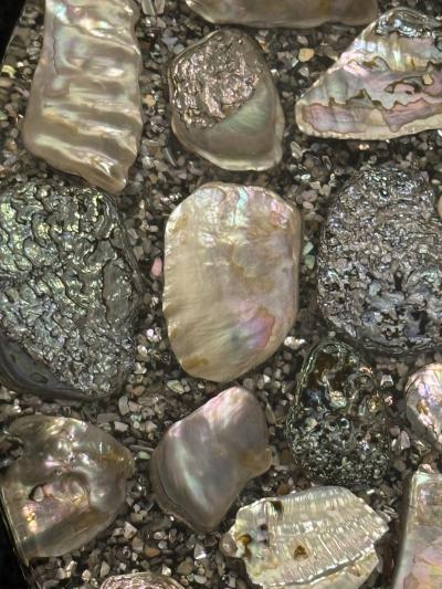 MID CENTURY ABALONE SPECIMEN TABLE