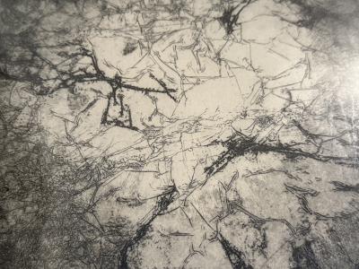 MID CENTURY BLUE MOON LITHOGRAPH 1966 BY DOROTHY SLOANE