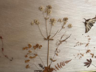 MID CENTURY BRASS AND GLASS DIORAMA WITH BUTTERFLIES HEADBOARD