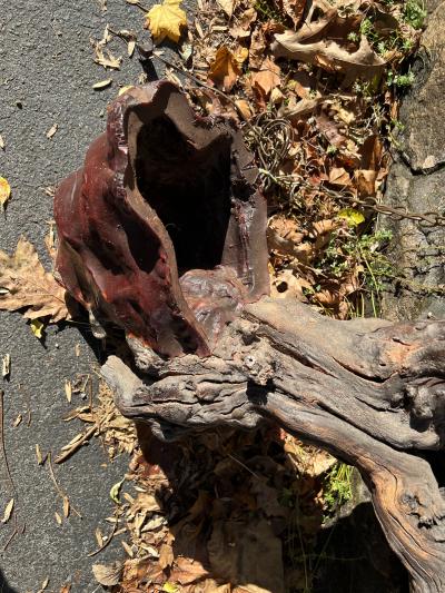 MID CENTURY ORGANIC ROOT CHANDELIER