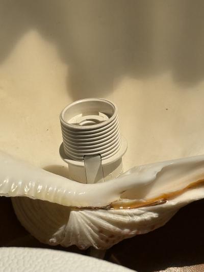 MODERN PAIR OF LARGE CLAM SHELL WALL SCONCES