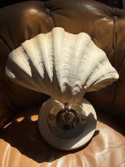 MODERN PAIR OF LARGE CLAM SHELL WALL SCONCES