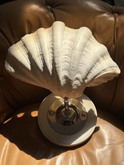 MODERN PAIR OF LARGE CLAM SHELL WALL SCONCES