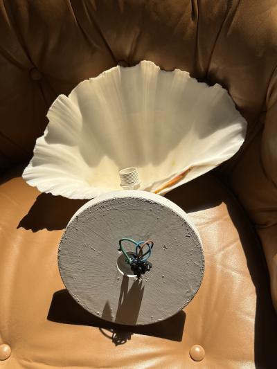 MODERN PAIR OF LARGE CLAM SHELL WALL SCONCES