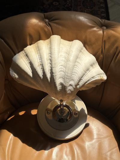 MODERN PAIR OF LARGE CLAM SHELL WALL SCONCES